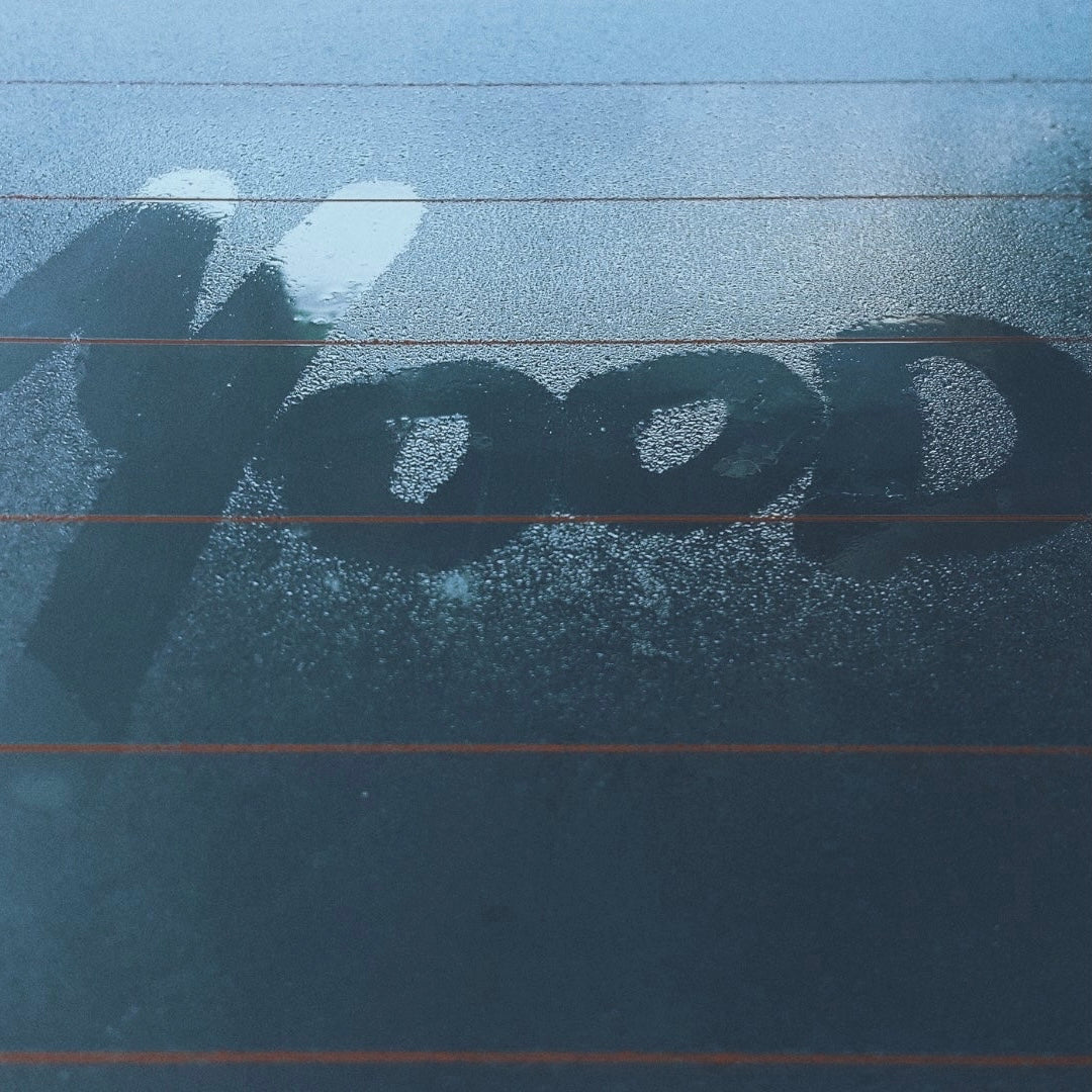MOOD MIST